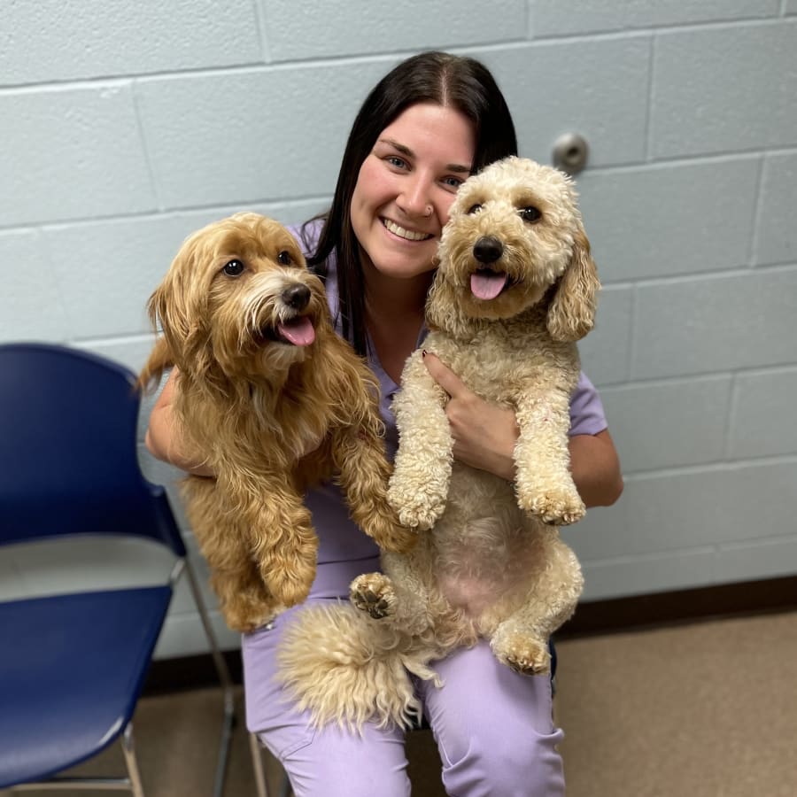 Northside Animal Clinic in Jackson